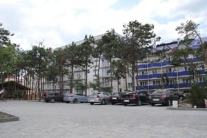 Березка 2