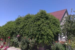 На Морской 9